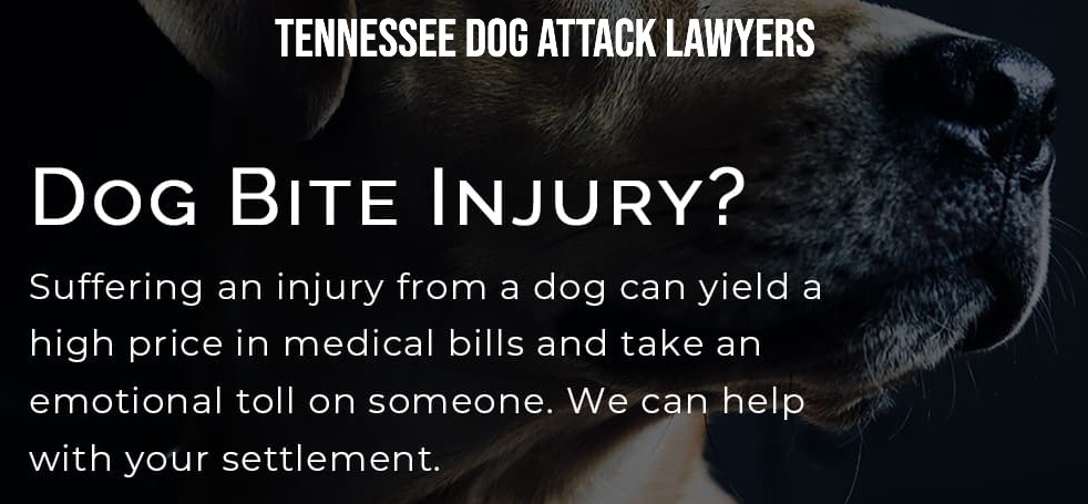 Knoxville Dog Bite Injury Lawyer